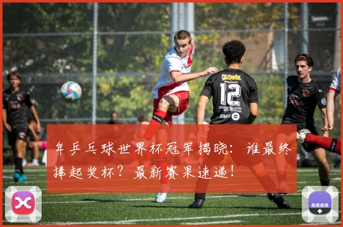 年乒乓球世界杯冠军揭晓：谁最终捧起奖杯？最新赛果速递！