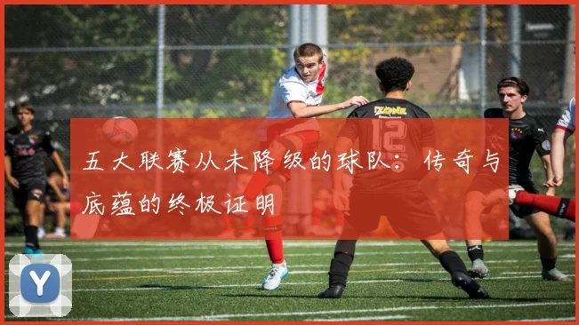 五大联赛从未降级的球队：传奇与底蕴的终极证明